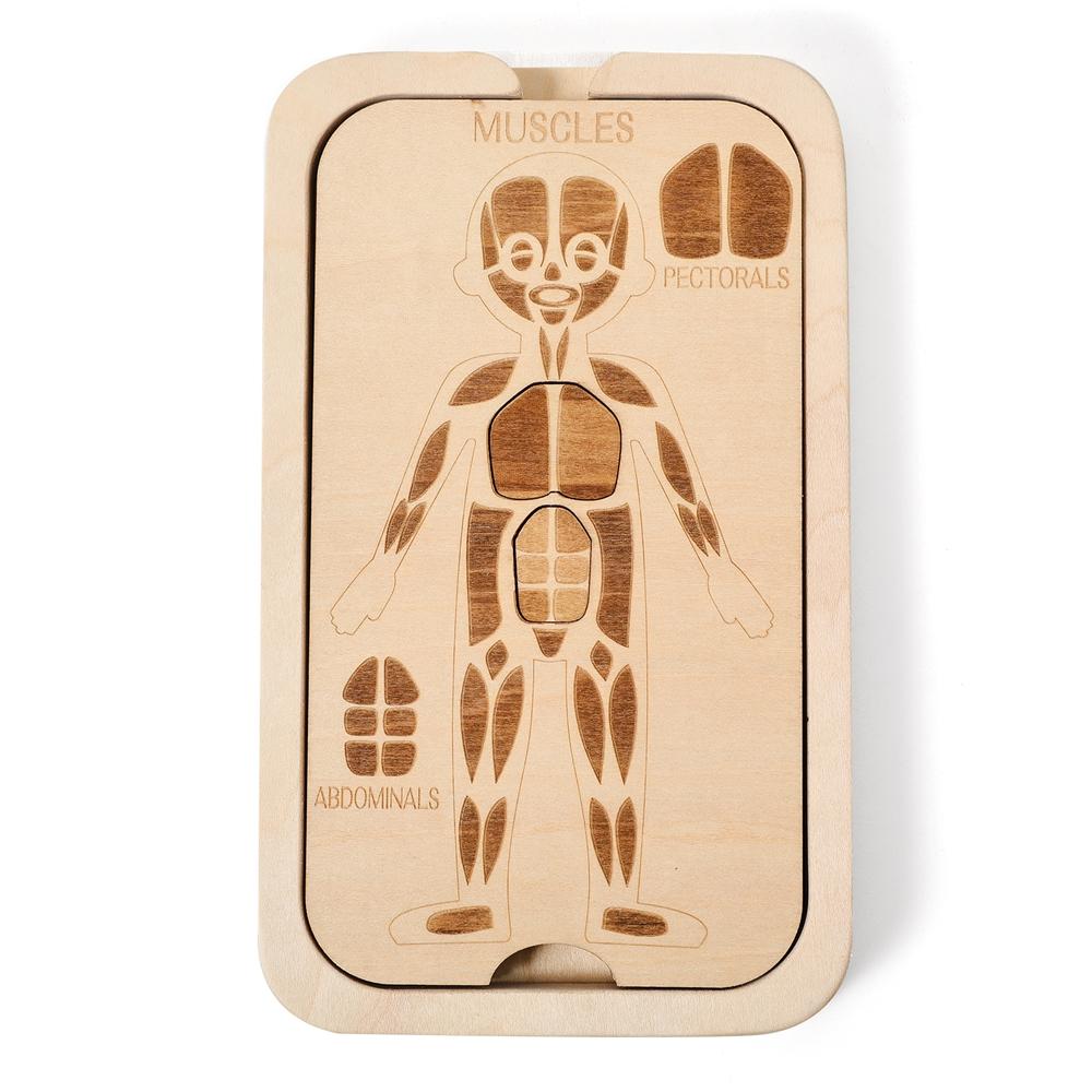 Children Wooden Montessori Toys Human Body Puzzles Toys Wooden Human Anatomy Puzzle Cognitively Human Preschool Anatomy Toy Set