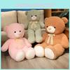 Teddy Bear Plush Toy Panda Stuffed Animal With Pp Cotton For Gift Giving Special Characters Included