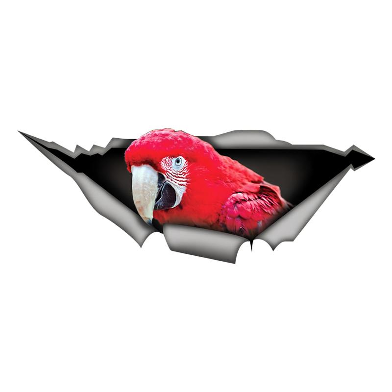 

Red Macaw Parrot 3D Break the Wall Car Sticker, Waterproof Vinyl Material Accessories, Interesting For Cars, Trucks, Motorcycles, Walls 15cm-Longest Side