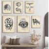 Wall Pictures For Hospital Doctor Office Decor Wall Art Canvas Painting Anatomy Skeleton Nordic Posters And Prints Vintage