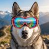 Light Block Lens Large Breed Pet Visor Flexible Frame Wind Block Dog Eye Guard  Outdoor Walking