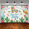 Taco Bout a Baby Backdrop, Fiesta Background Cloth, Baby Shower Decor