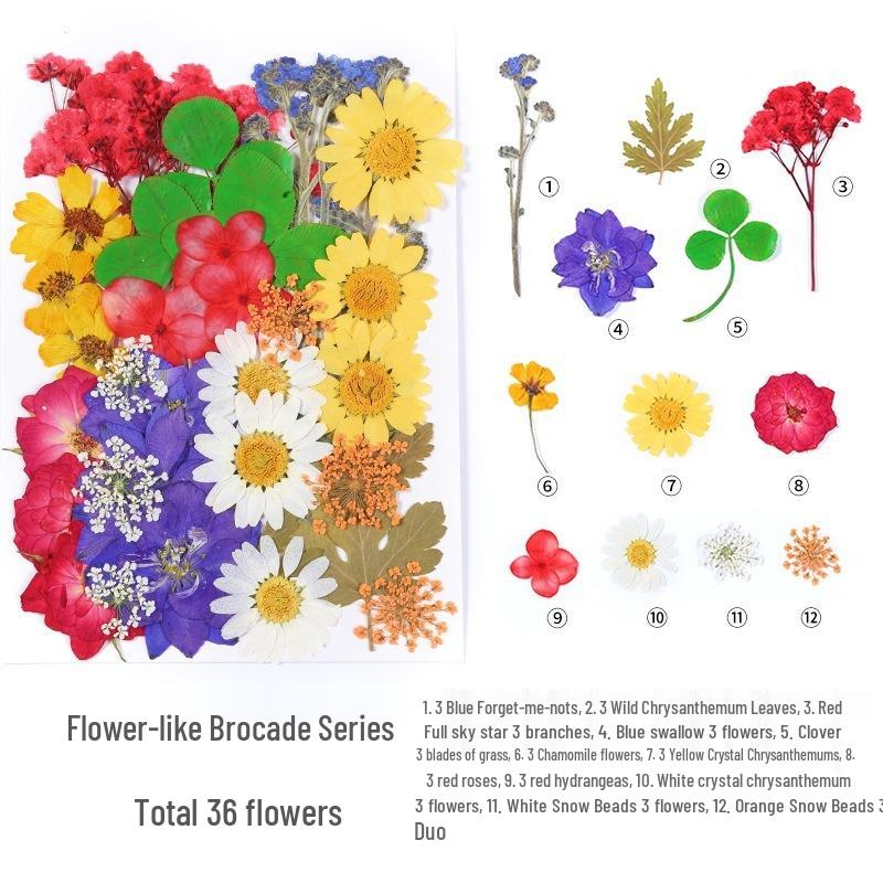 DIY Handmade Dried Flower Embossed Wall Clock with Wood Grain Border