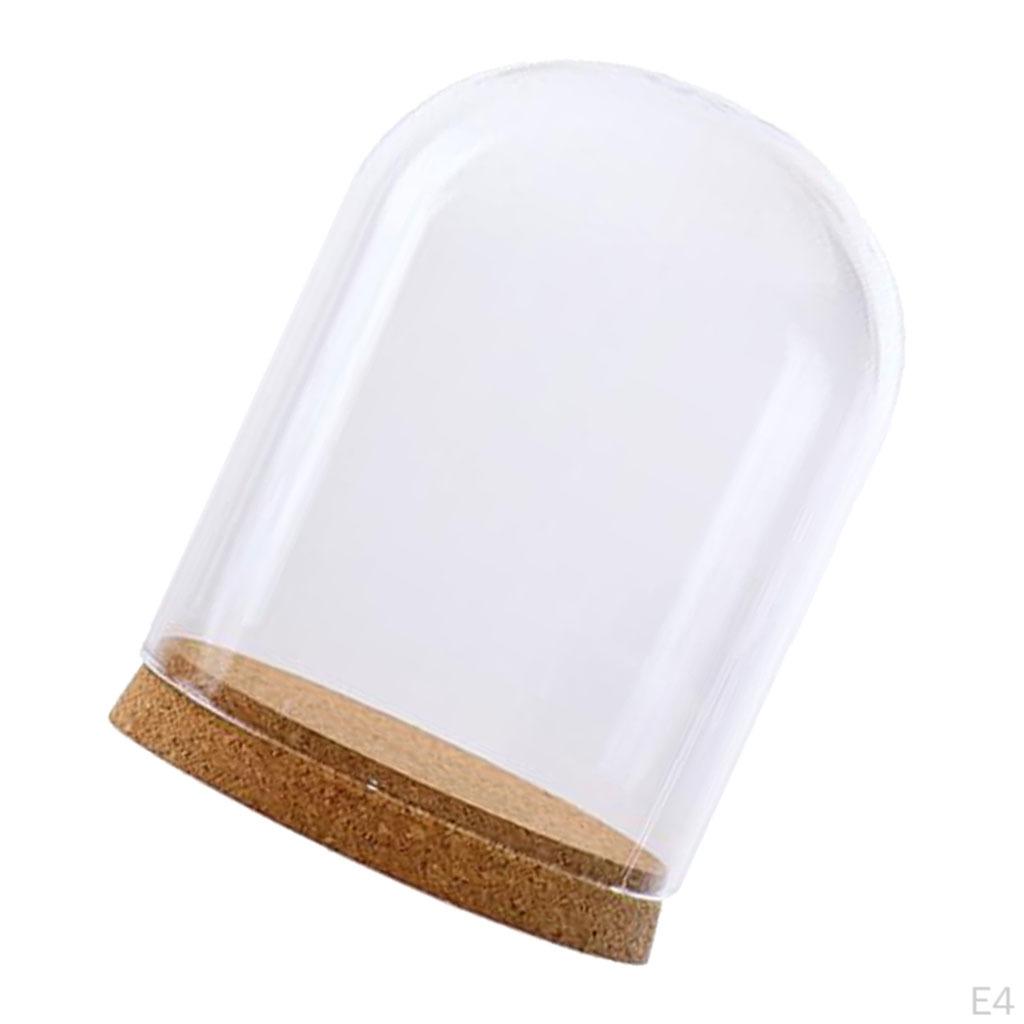 Cloche Bell Jar with Wooden Cork Base Wedding Christmas