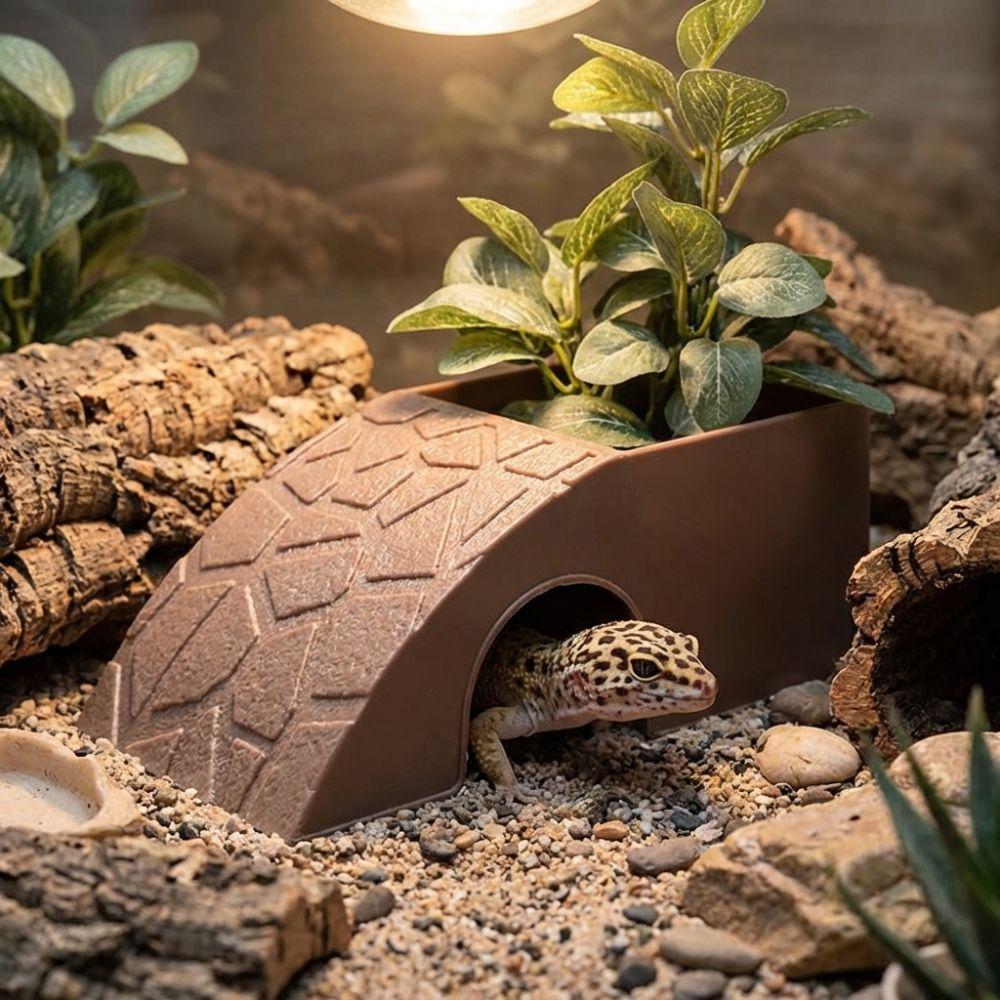 With Moss Tray Reptile Hideout Cave Anti Drowning Water Dispenser Reptile Feeding Box  Pet Breeding