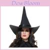 Premium Quality Wicked Witch Costume For Adults Timeless Black Fancy Dress