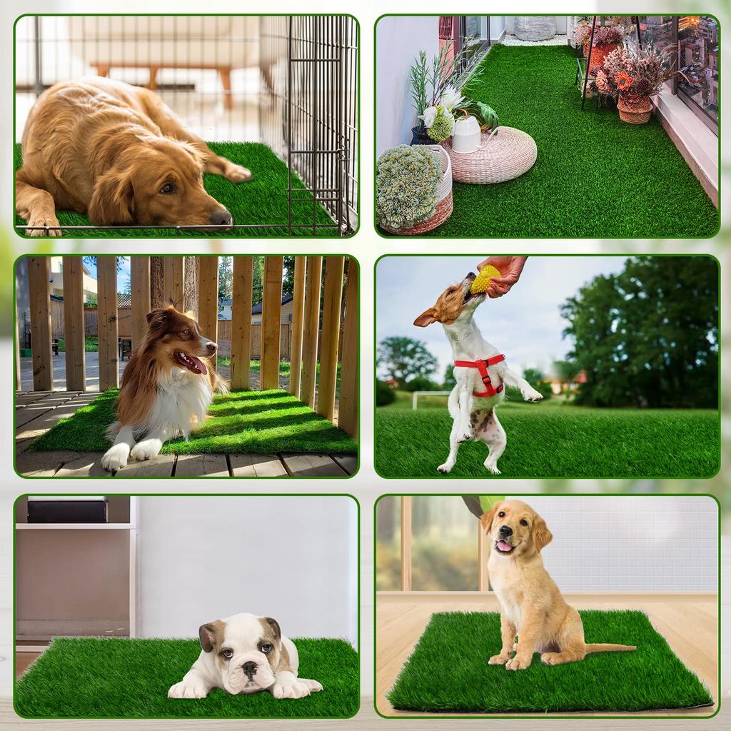 PICK FOR LIFE Dog Grass Pad X Inch Strong Absorbent Soft Real Grass Pet Potty Training Easy To Clean Artificial Grass for Dogs Indoor and Outdoor 39.4
