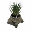 Animal Succulent Pots Cartoon Turtles/Snail/Hedgehog Plant Container Resin Planter for Indoor Cactus and Bonsais