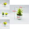 Faux Succulent Desert Plant Pot With Durable Plastic Material For Living Room Decor