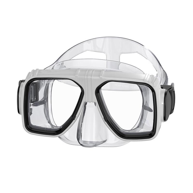 Professional Adult Diving Mask and Snorkel Set