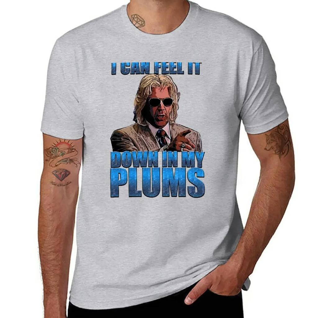 cute tops customized t shirts t shirts casual stylish i can feel it in my plums T-Shirt clothing harajuku graphic