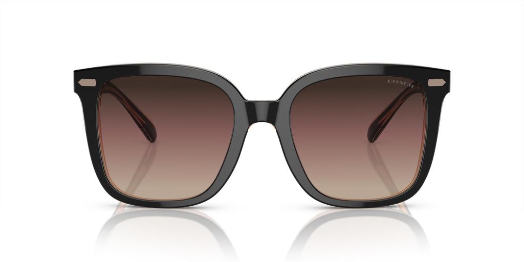 Coach HC8381F CL919 BLUSH 56 Women's Sunglasses, BLACK/TRANSPARENT