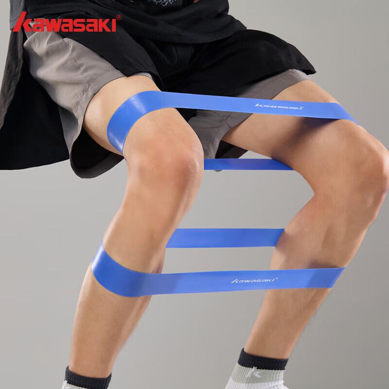Kawasaki Resistance Loop Bands (2-Pack)