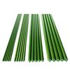Coated Garden Plant Support Stakes for Climbing Plants, Flowers, Melons, and Vegetables