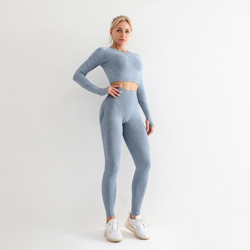 

Sporty Breathable Long Sleeve Crop Top & High-Waist Hip-Lifting Pants Yoga Set Large