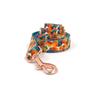 Rose Gold Hawaiian Print Dog Collar & Leash Set - Engravable