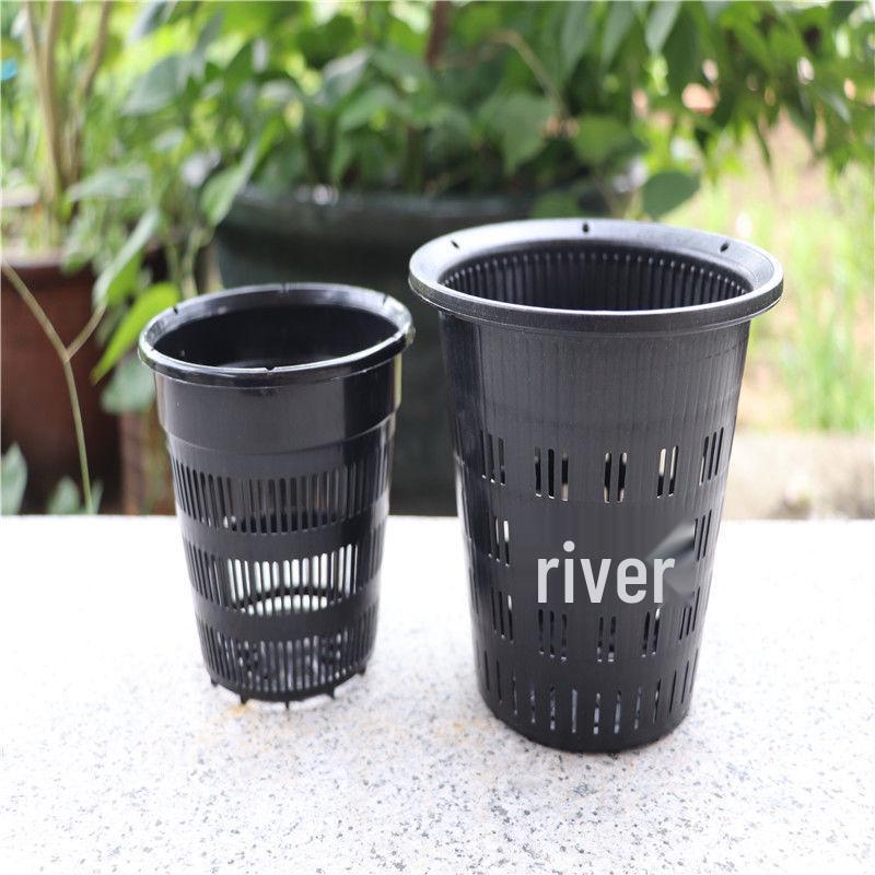 Thickened Square Plastic Planter for Phalaenopsis Root Control and Hydroponic Cultivation
