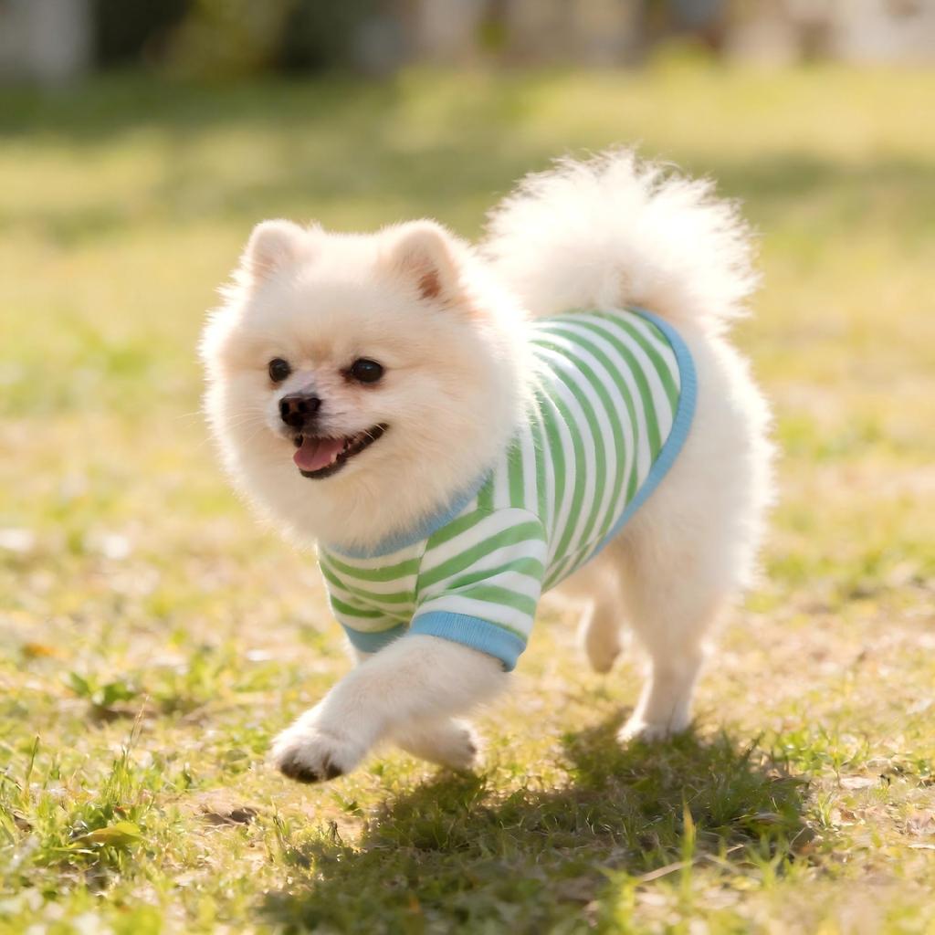 Summer Ice Silk Sun Protection Pet T-Shirt for Dogs & Cats - Lightweight, Cool, and Comfortable for Outdoor Wear