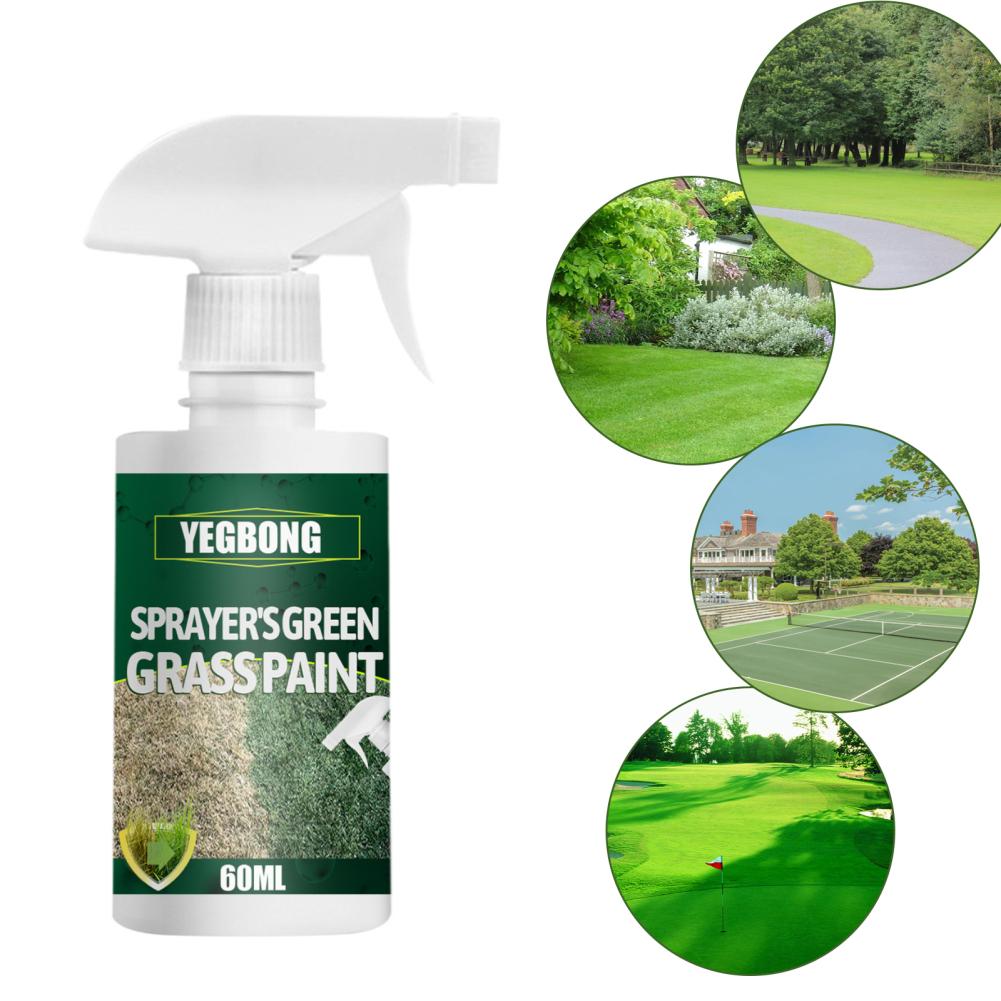 Buy Grass And Turf Paint Friendly Lawn Colorant Maintenance Agent