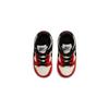 Nike Dunk Low EMB NBA 75th Anniversary Chicago TD DC9562-100