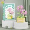 MOC Blume Sukkulente Topfpflanze Modellbaustein DIY Ewiger Strauß Zuhause Schreibtisch Pflanzen Dekoration Ziegel Mädchen Geschenk Kinderspielzeug