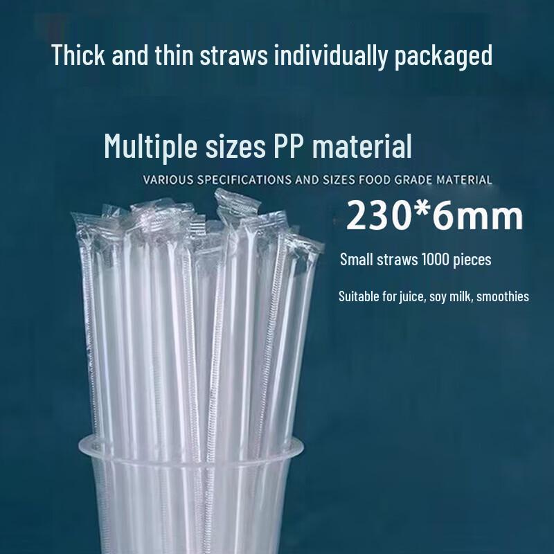 Homeglen Disposable Drinking Straws