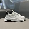 Men's Shoes Summer New Versatile Platform Sports Casual Running Breathable Mesh Shoes Men's Guochao White Shoes