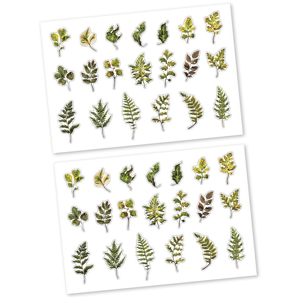 Plant Leaf Flower Themed Sticker Self Adheisve PET Sticker for Scrapbooking Journal Planner Phone Case Photo Album