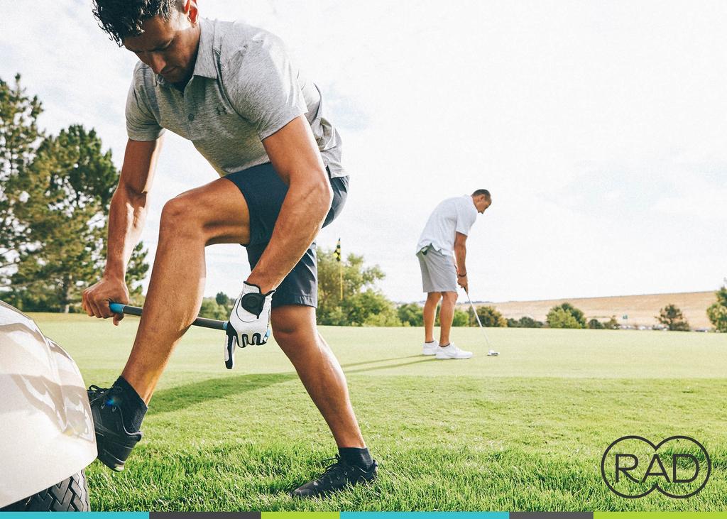 Japanese RAD ROD Extension Stick Size [Official Product] (Flushing) Roller/Regular