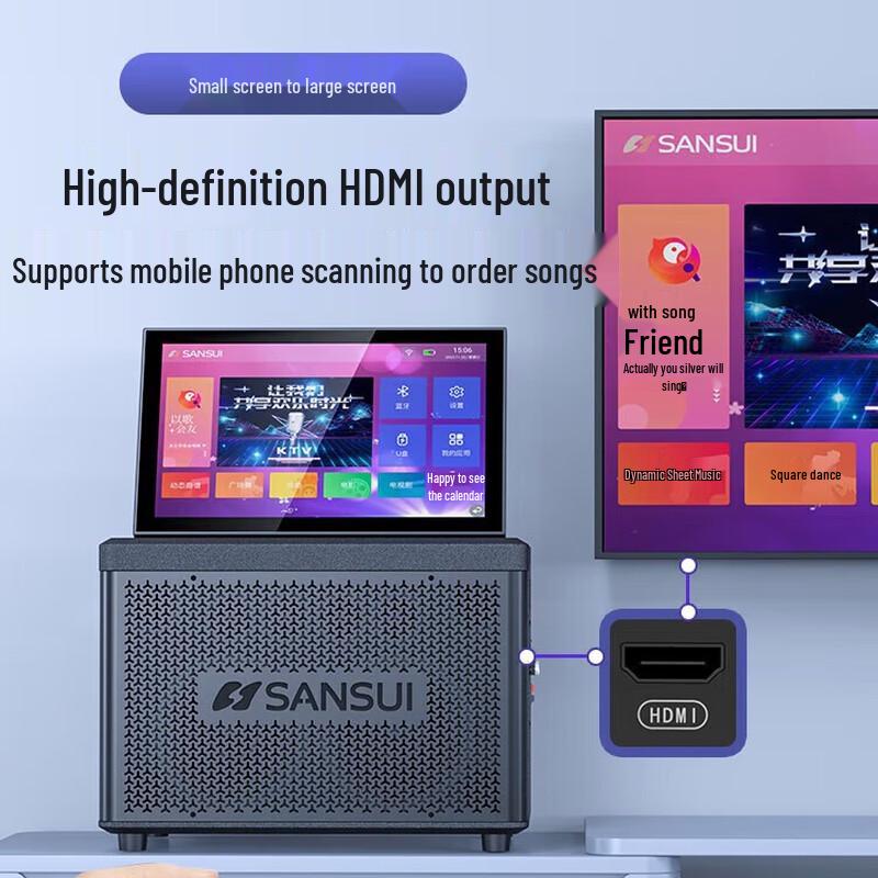 SANSUI C11 High-Power Outdoor KTV Speaker System