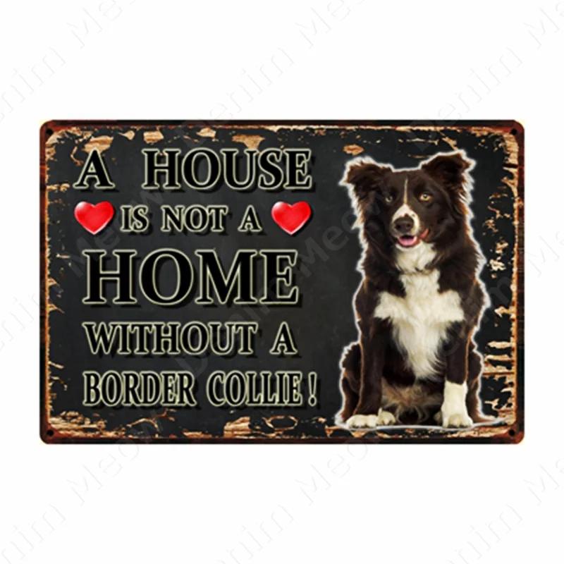 A House Is Not A Home Without A Dog Plaque, Vintage Metal Tin Signs, Bar, Cafe, Home Decor, Springer Spaniel, Wall Art Poster