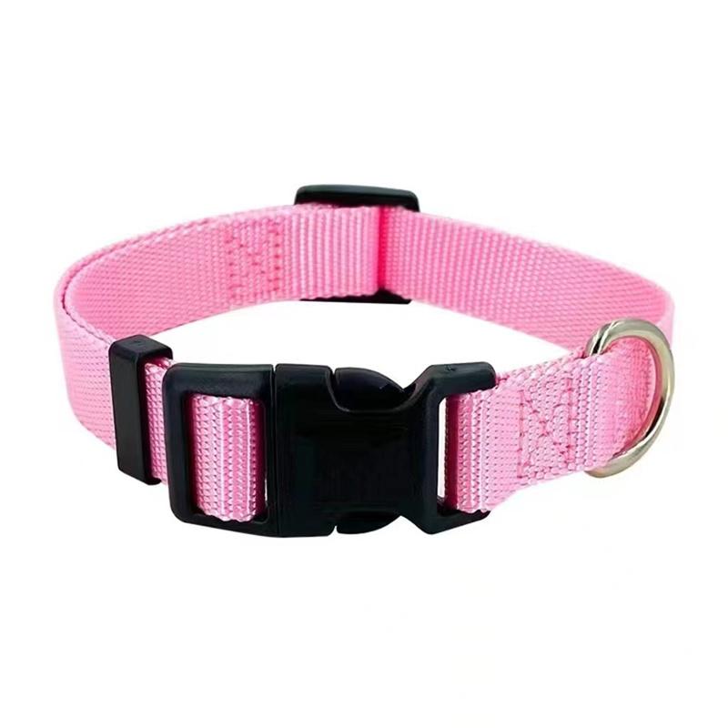 Nylon Webbing Dog Collar Fashion Buckle Pet Collar for Small Medium Dogs Chihuahua Dog Red Black Blue Orange Pet Accessory