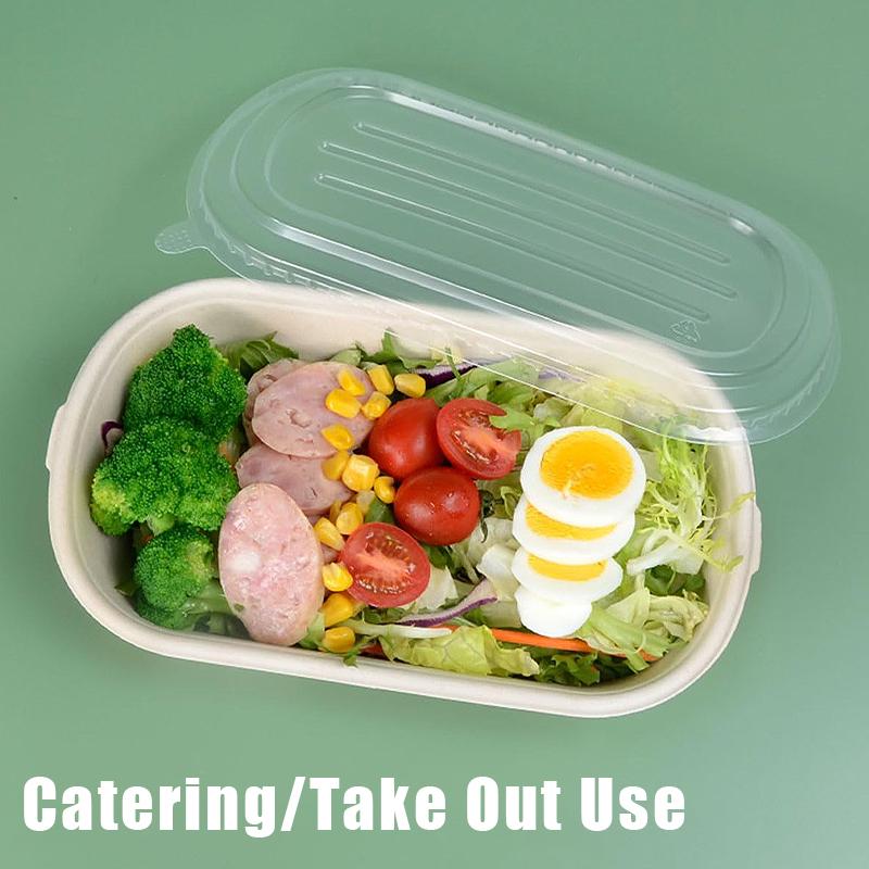 10/50 Stück Ovale Bagasse-Boxen aus Zuckerrohr Umweltfreundliche biologisch abbaubare Lebensmittelbehälter mit PET-Deckel