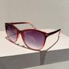 Oversized Round Sunglasses for Women  New In Multicolor Rim Gradient Dark Glasses Fashion Vintage Travelling Shades