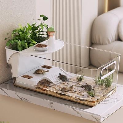 Sürüngen – Sürüngen Terraryumları
