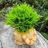 Feline Flower Pot Lifelike Features Cat Shaped Planter Creature Garden Planter Decorative Decoration Resin Cat Statue Pot
