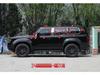 Toyota Prado 2024 LC250 Window Trim Bright Strip Sticker