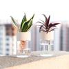 Hydroponic Nursery Pots Kit Seedling Plastic Plant Pot Gardening Accessories Garden Pots/pots Clear Plants Seeds Orchids System
