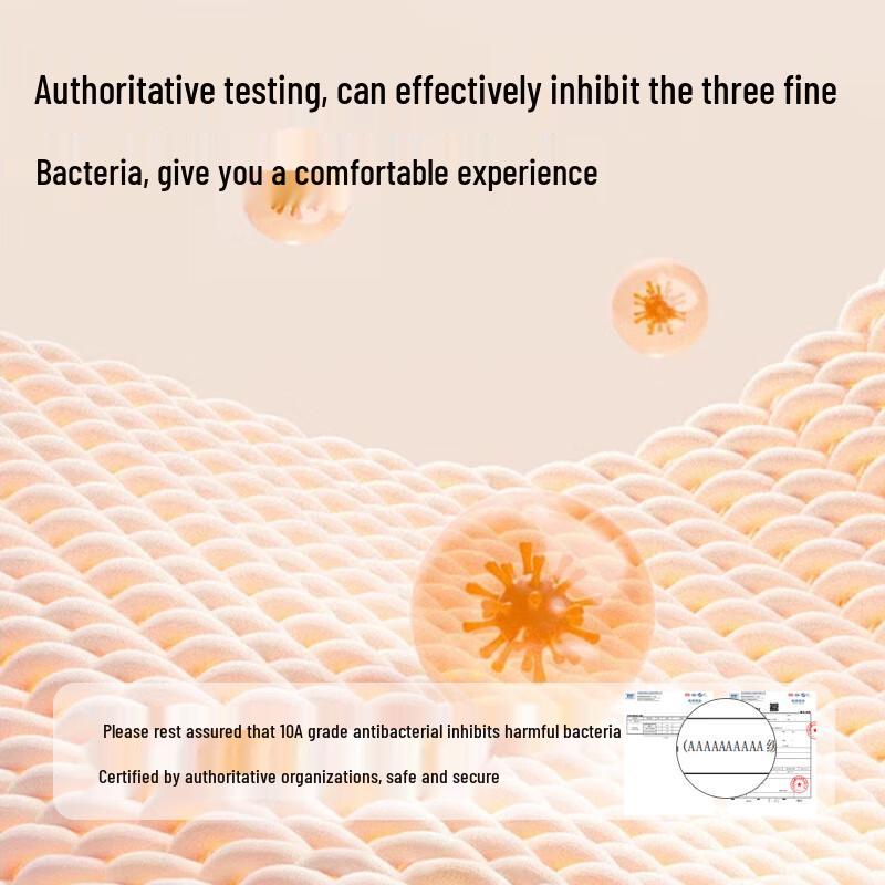 MIIOW Women's Camellia Clean Modal Antibacterial Briefs (3-Pack)