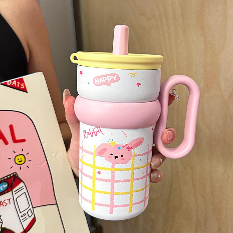 

Changqi 316 Stainless Steel Insulated Straw Water Bottle