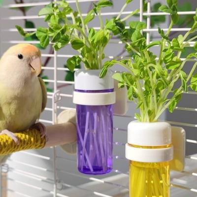Pájaros – Alimentación y suministros de riego