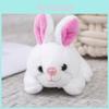 Adorable Plush Bunny Keychain Fashionable Personalized Bag Charm Exquisite Cute Couple Gift