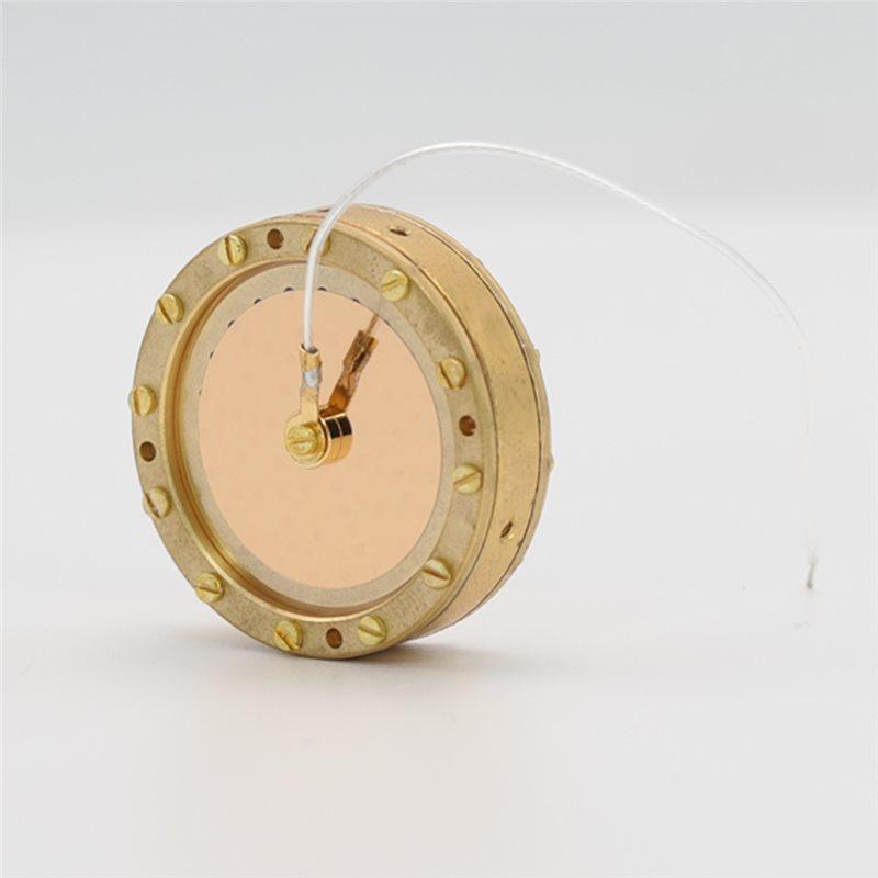 T10C!RK47 34mm Kondensatormikrofon Kapselkern Große Membran Einseitig Vergoldete Mikrofonkapsel für Studioaufnahmen