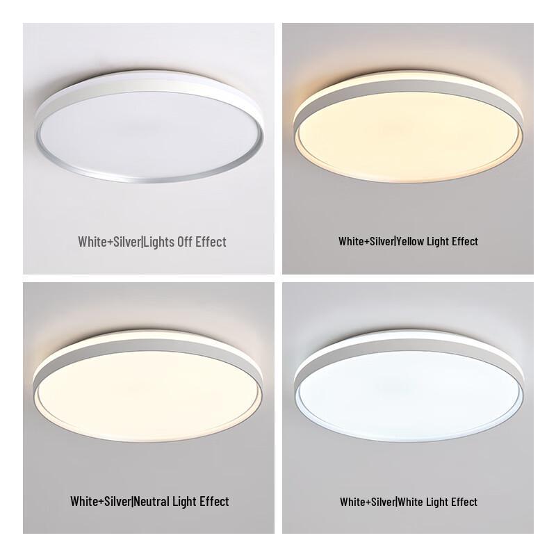 Foshan Lighting Modern Minimalist LED Ceiling Lamp