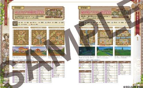 Dragon Quest X: The Awakening of the Five Races Online Official Guidebook Volume 1: World Edition (Adventurer Support Series)