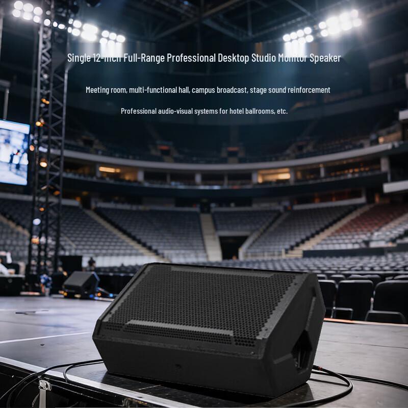 Weishu YT12 Professional 12-inch Passive Full-Range Speaker (CN version)