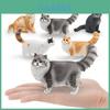 Realistic Ragdoll Cat Somali Cat Model For Kids Educational Toy Pvc Plush Cat Display