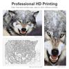 Frame Painting By Numbers Kits Wolf Animals Diy Crafts Picture With Numbers Acrylic  Painting For Home Decors 40x50
