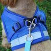 Reflective Safety Pet Dog Harness and Leash Dogs Cat Harnesses Vest Puppy Chest Strap Pug Chihuahua Bulldog Set for Small Medium