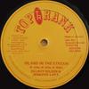 LP Record DELROY WILSON  JENNIFER LARA  Island In The Stream VPTRR011 Top Rank Jamaica Reggae Ska  Dub Used